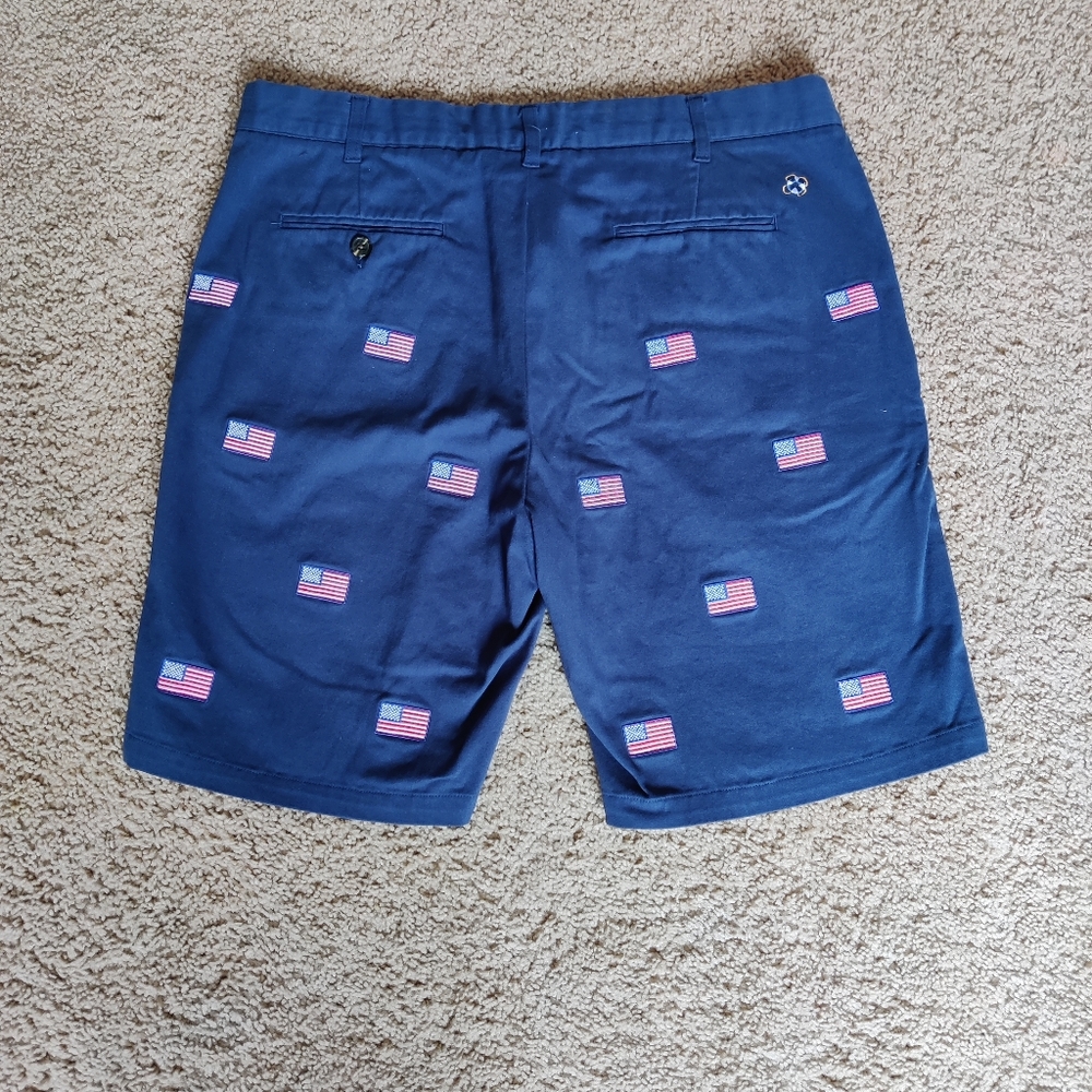 Castaway American flag spirit shorts - Picture 2 of 6